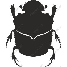 Beetle