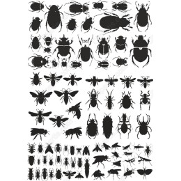 Insect Bundle - Files