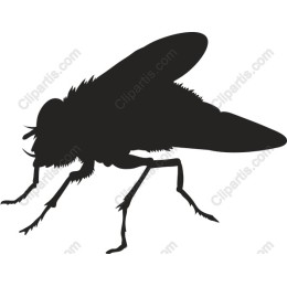Premium Fly
