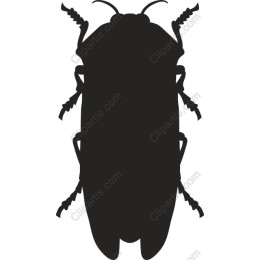 Cockroach