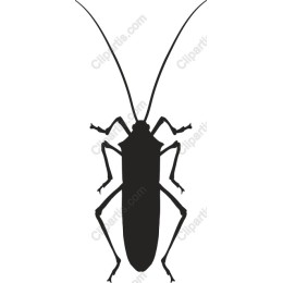 Cockroach