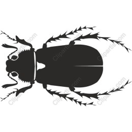 Stylized Beetle