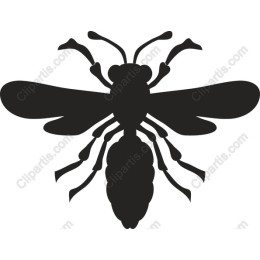 Detailed Bee - Elegant