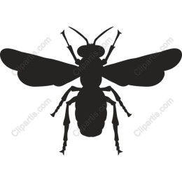 Bee Clipart