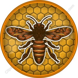 Buzzing Honeybee