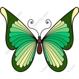 Elegant Green Butterfly