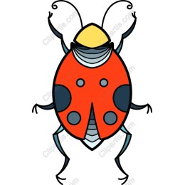 Charming Ladybug
