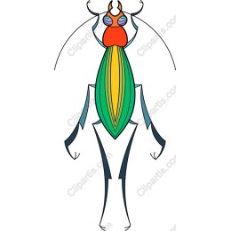 Vibrant Insect