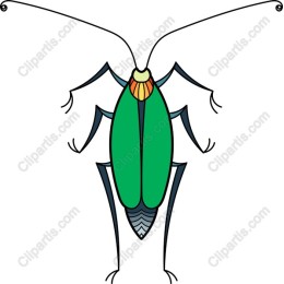 Vibrant Green Insect