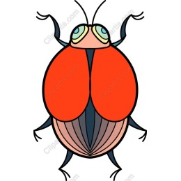 Vibrant Beetle