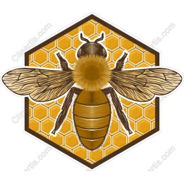 Bee and Honeycomb
