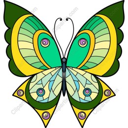 Vibrant Geometric Butterfly