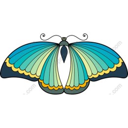 Blue Green Butterfly