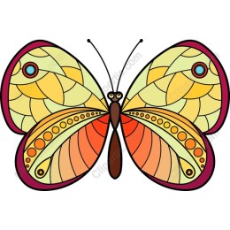 Vibrant Butterfly