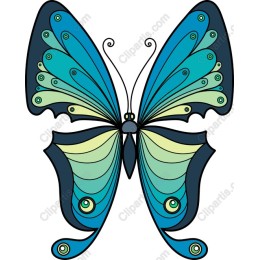 Elegant Blue and Green Butterfly