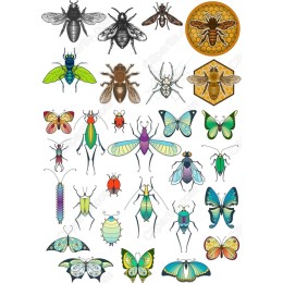 Insect Bundle