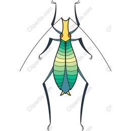 Vibrant Cricket