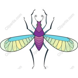 Whimsical Colorful Insect