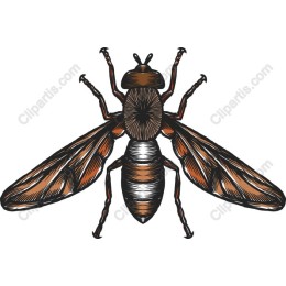 Vintage Bee
