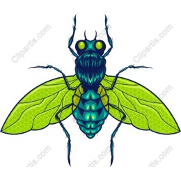 Vibrant Green Insect