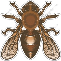Vintage Honey Bee