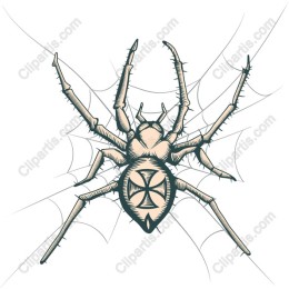 Intricately ed Spider