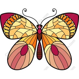 Vibrant Butterfly