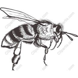 Vintage Bee