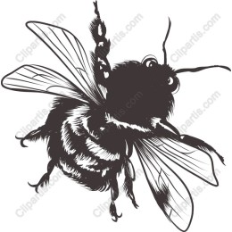 Bee - Elegant Black and White