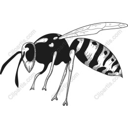 Stylized Wasp