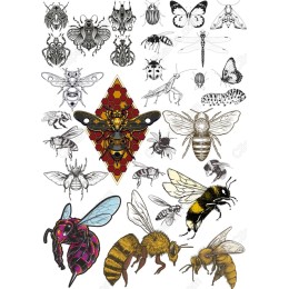 Insect Bundle