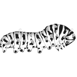 Whimsical Cow Caterpillar
