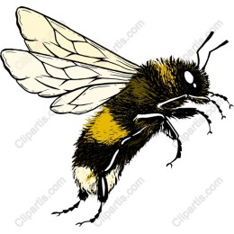 Bumblebee