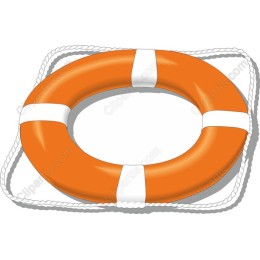 Vibrant Orange Lifebuoy