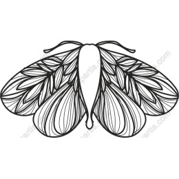 Intricate Butterfly Line Art