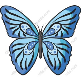 Blue Butterfly
