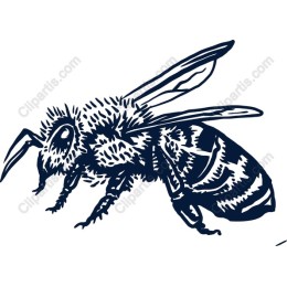 Intricate Bee