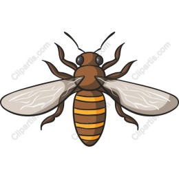 Bee - High Quality Graphic