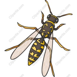Vibrant Wasp