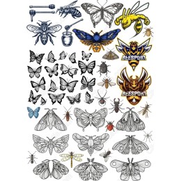 Insect and Butterfly Bundle - Complete Collection