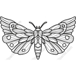 Intricate Butterfly