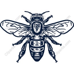  Bee in and