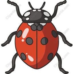 Charming Ladybug