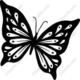 Elegant Butterfly