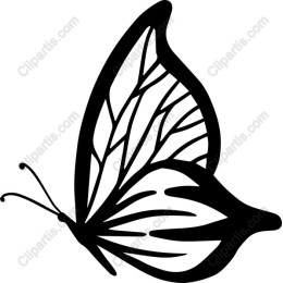 Elegant Butterfly