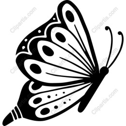 Elegant Butterfly