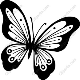 Elegant Butterfly
