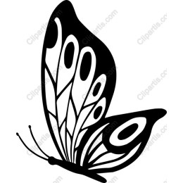 Black Butterfly
