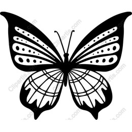 Elegant Butterfly