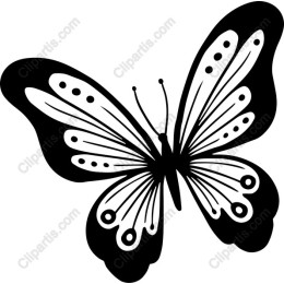 Elegant Butterfly